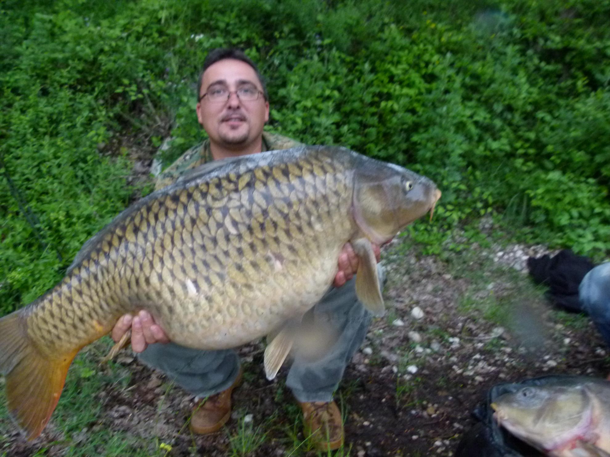 THE BIGS OF 2012 - p1000053.JPG